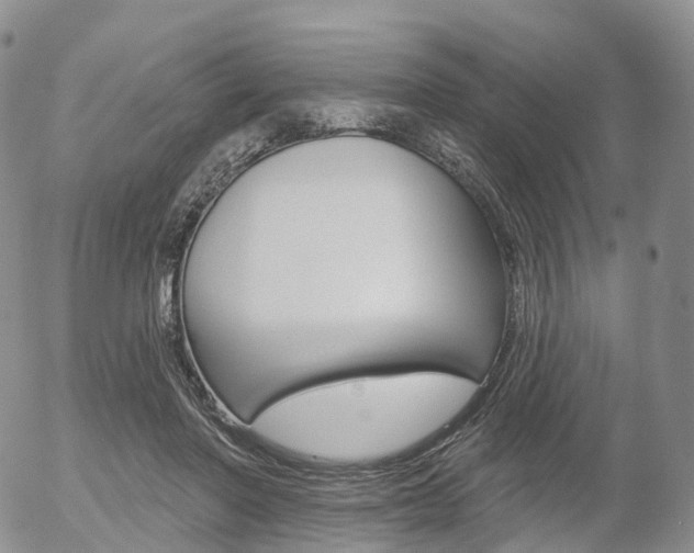 X0000054400406200507290836