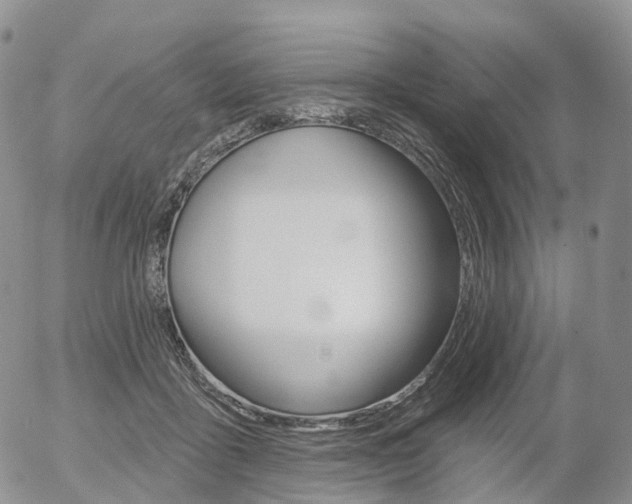X0000054400411200507290836