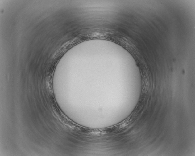 X0000054400415200507290836
