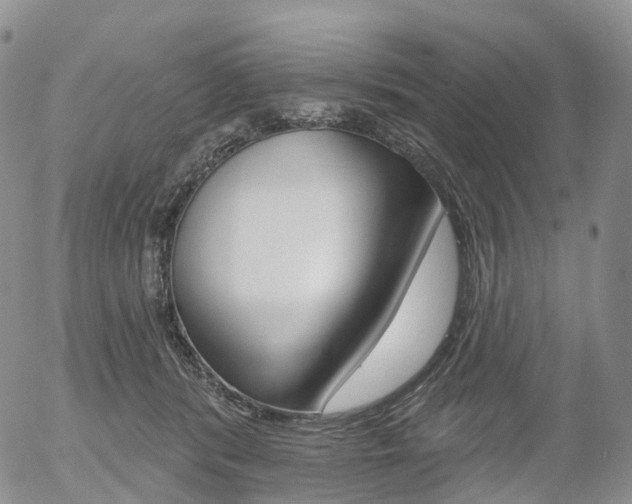 X0000054400416200507290836