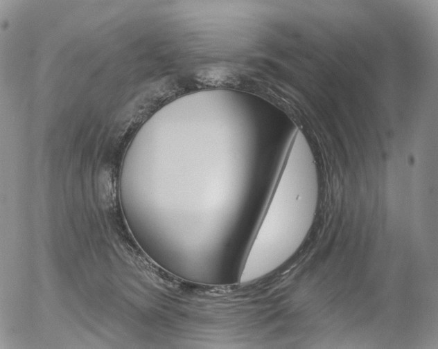 X0000054400420200507290836