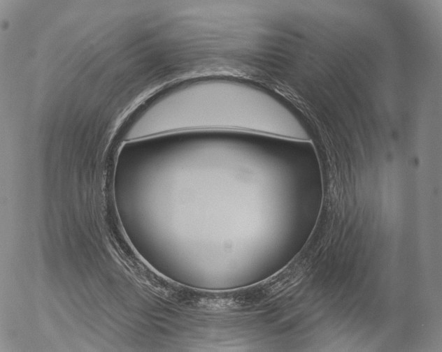 X0000054400440200507290835