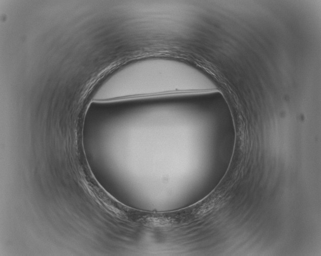 X0000054400442200507290835