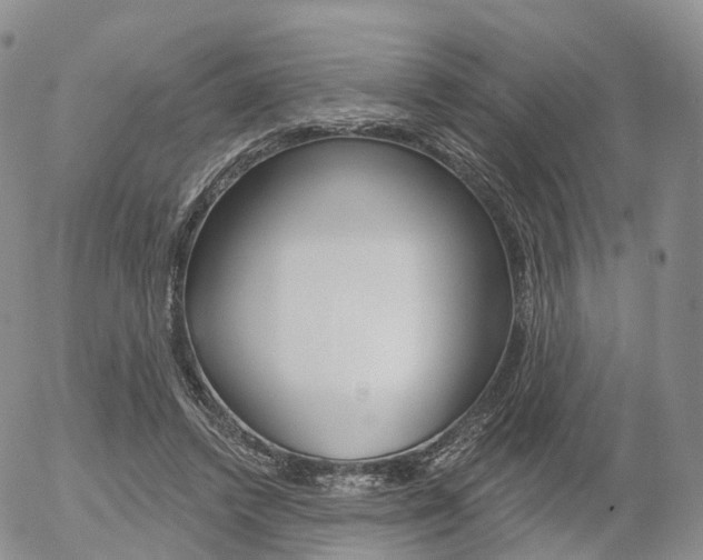 X0000054400448200507290836