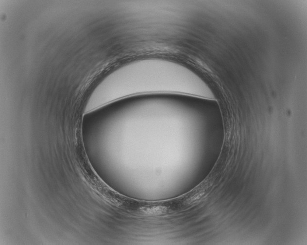 X0000054400452200507290836