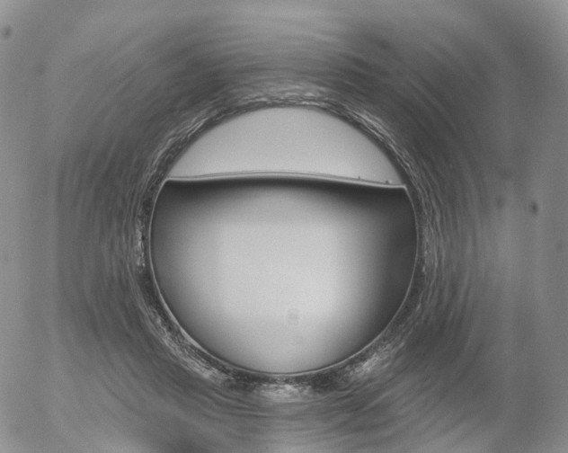 X0000054400453200507290836