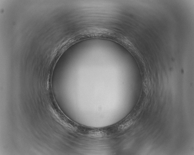 X0000054400454200507290836