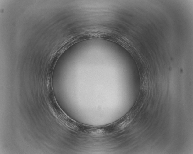 X0000054400456200507290836