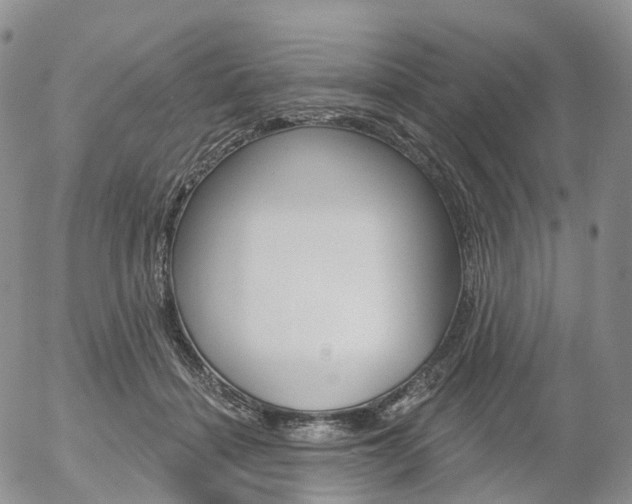 X0000054400460200507290836
