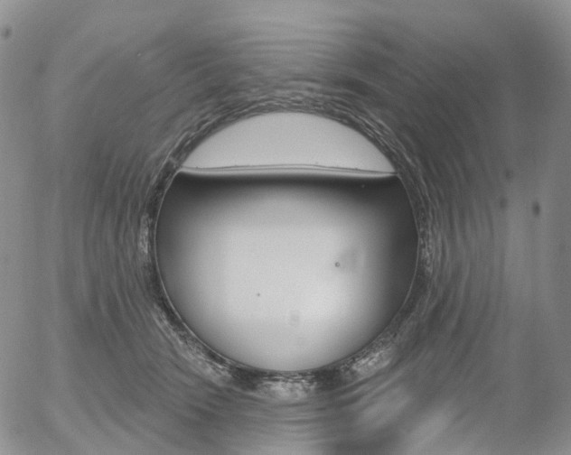 X0000054400466200507290836