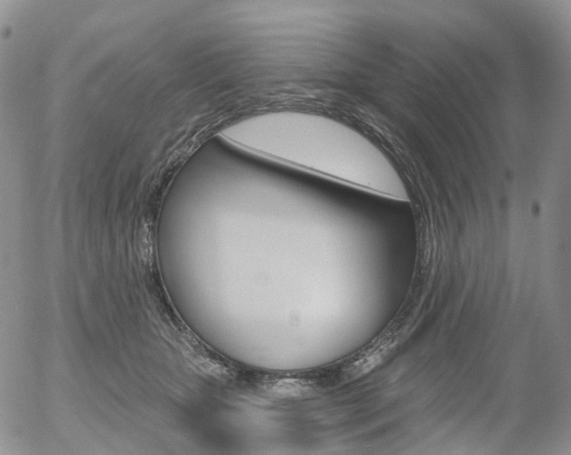 X0000054400467200507290836