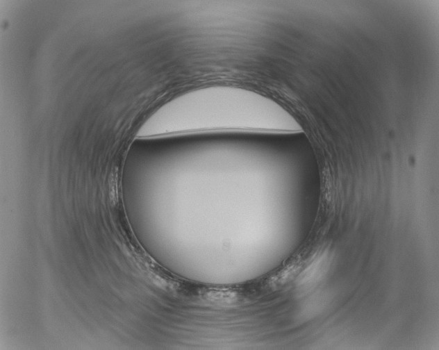 X0000054400471200507290836