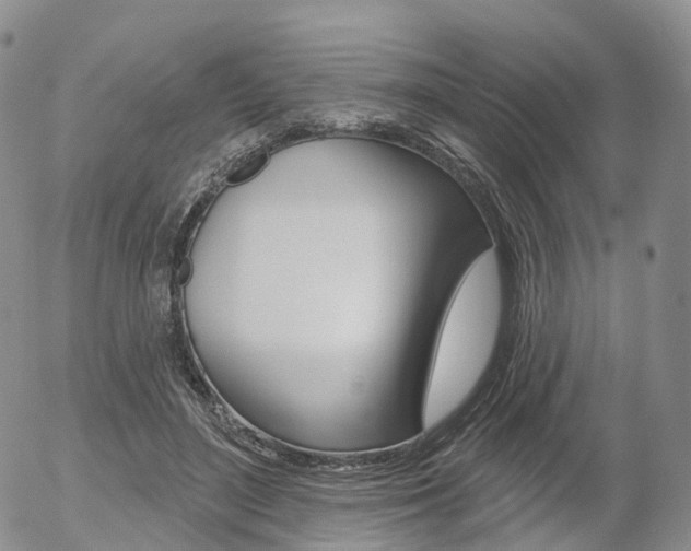 X0000054400500200507290835
