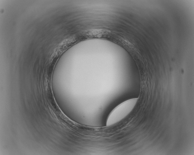 X0000054400504200507290835