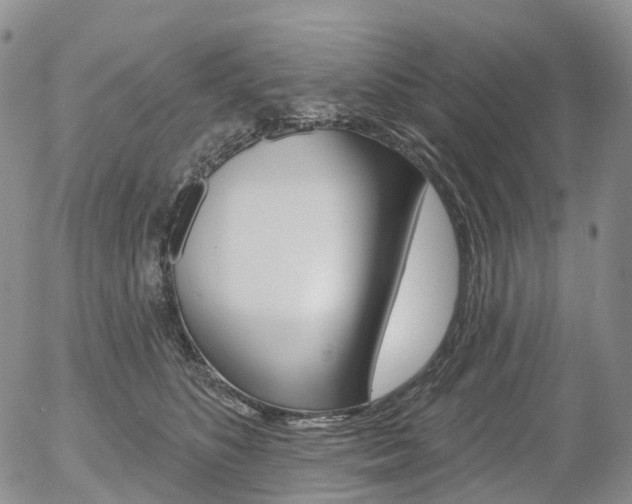X0000054400516200507290835
