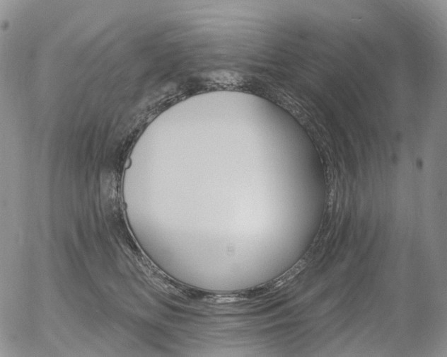X0000054400518200507290835
