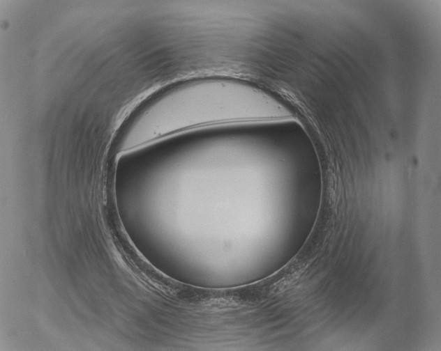 X0000054400536200507290834