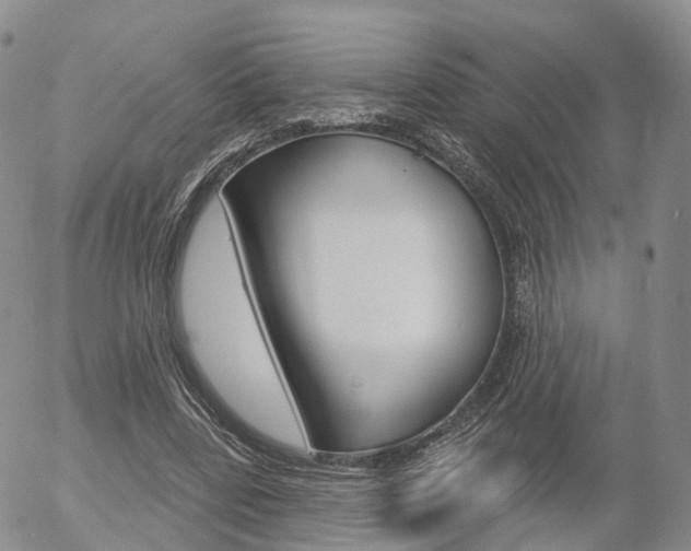X0000054400539200507290834