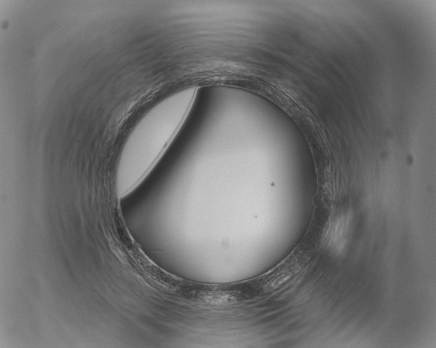 X0000054400547200507290834