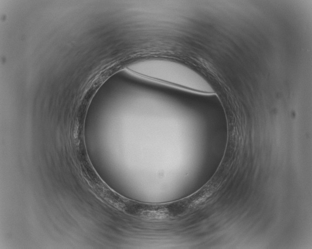 X0000054400548200507290834