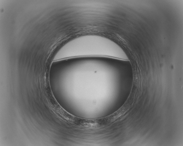 X0000054400552200507290834