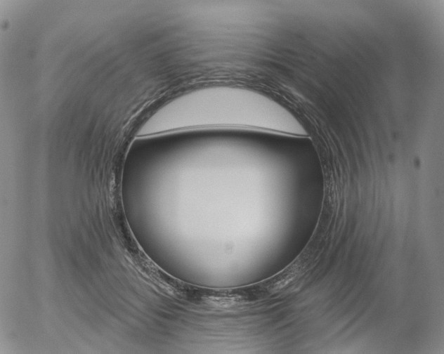 X0000054400556200507290834