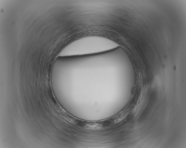 X0000054400557200507290834