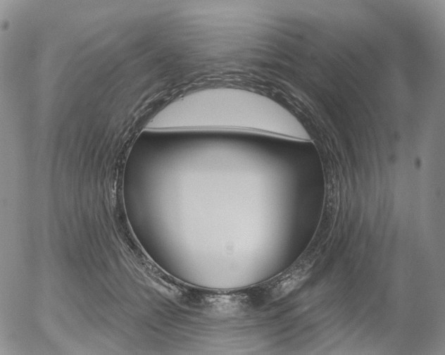 X0000054400558200507290834