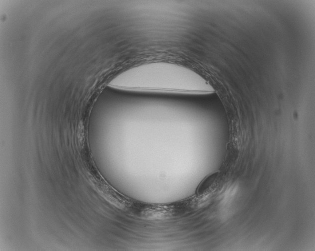 X0000054400563200507290834