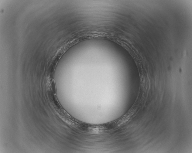 X0000054400564200507290834