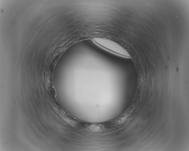 X0000054400566200507290834