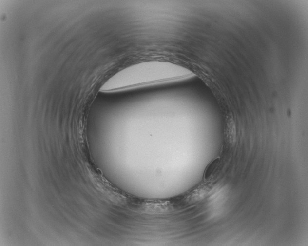 X0000054400571200507290834