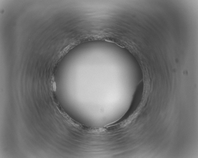 X0000054400576200507290834