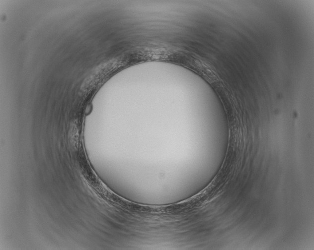 X0000054400594200507290833