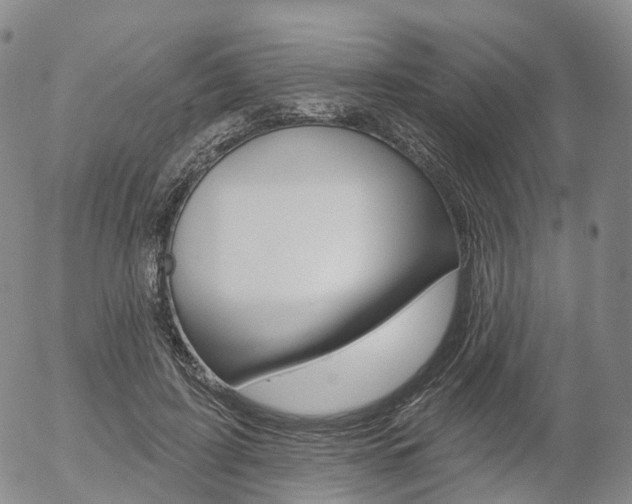 X0000054400595200507290833