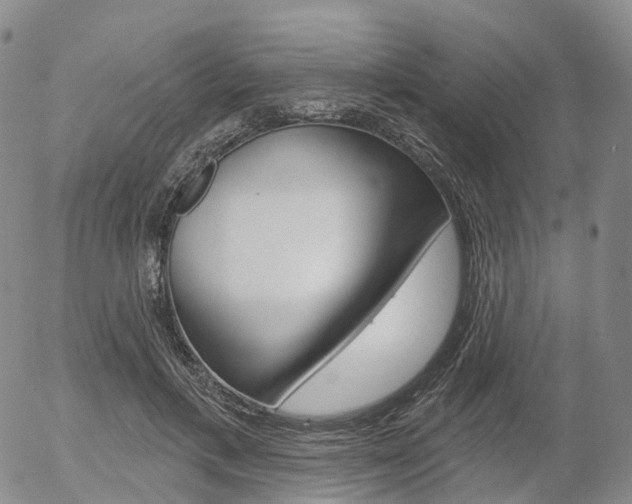 X0000054400597200507290833