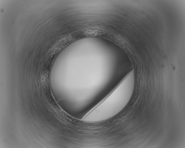X0000054400601200507290833