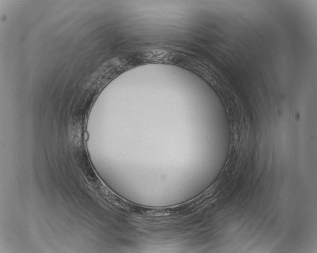 X0000054400602200507290833