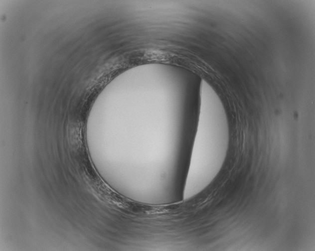 X0000054400603200507290833