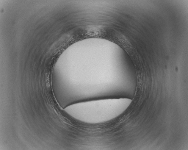 X0000054400606200507290833