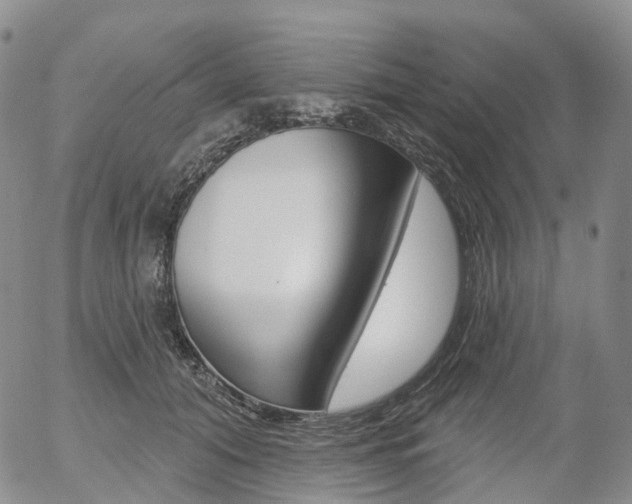 X0000054400608200507290833