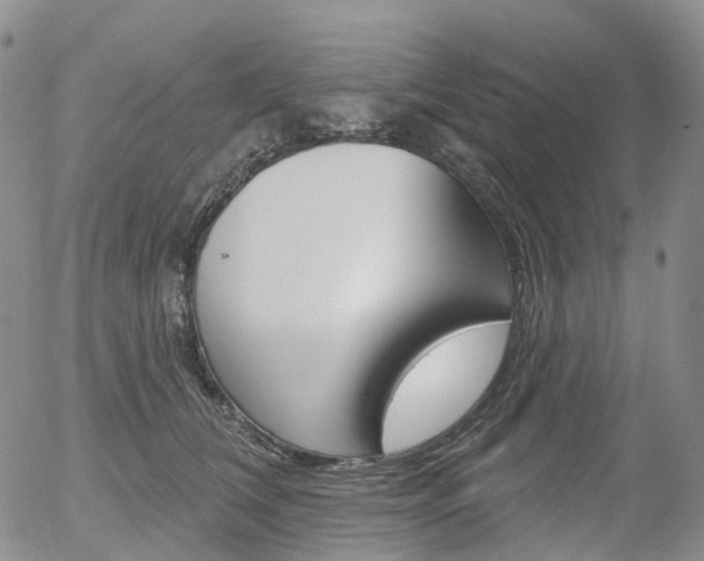 X0000054400612200507290833