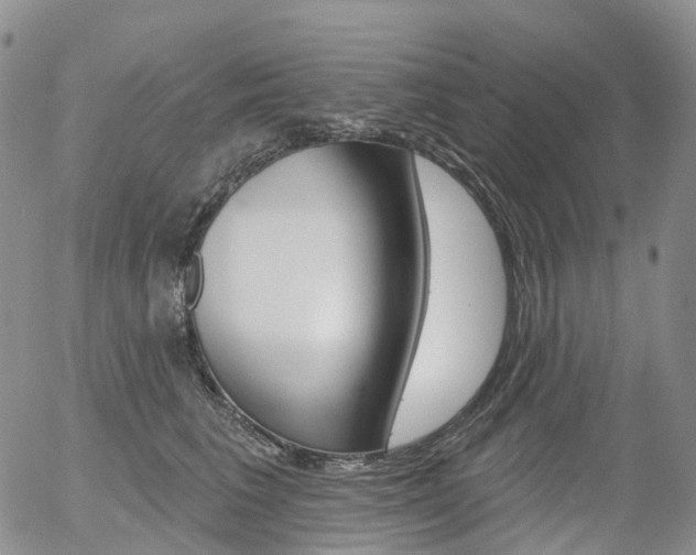 X0000054400613200507290833