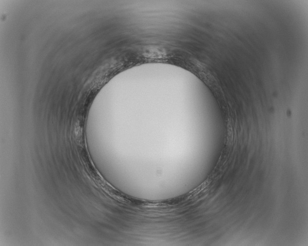 X0000054400614200507290833