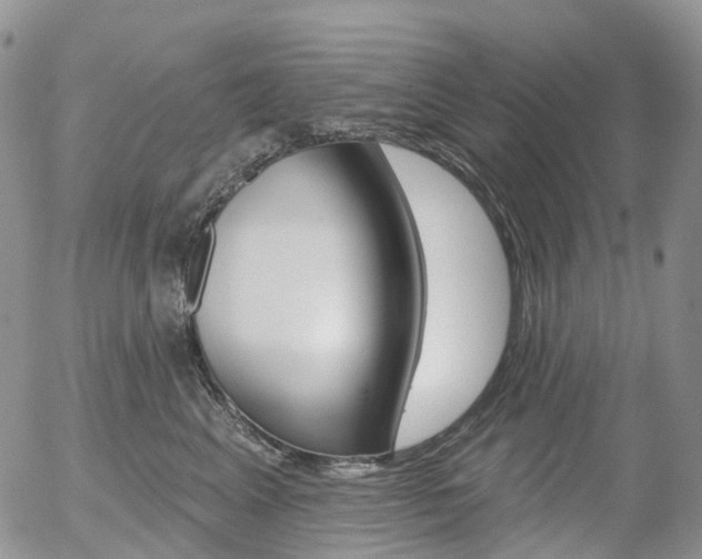 X0000054400617200507290833