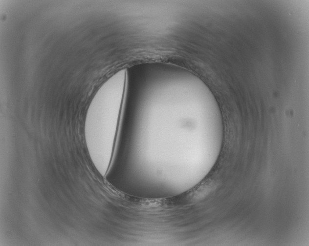 X0000054400624200507290833