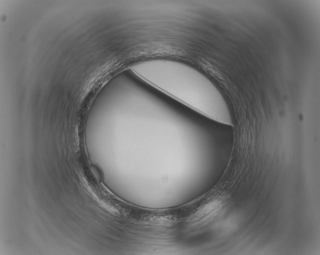 X0000054400638200507290832