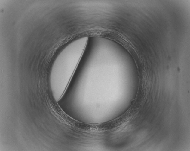 X0000054400641200507290832