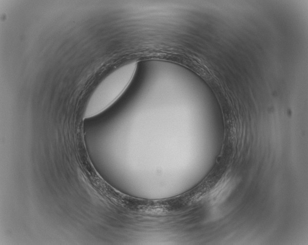 X0000054400643200507290832