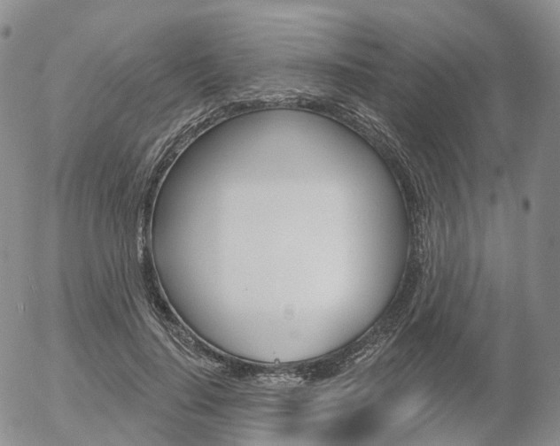 X0000054400644200507290832